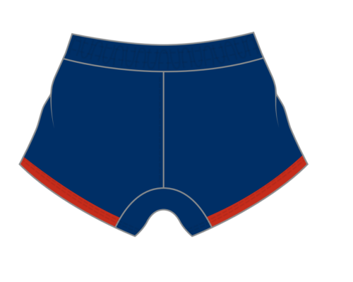 Season 2025 Combo Socks & Shorts - Image 3